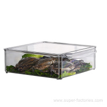 PET Storage Box For Kitchen Using